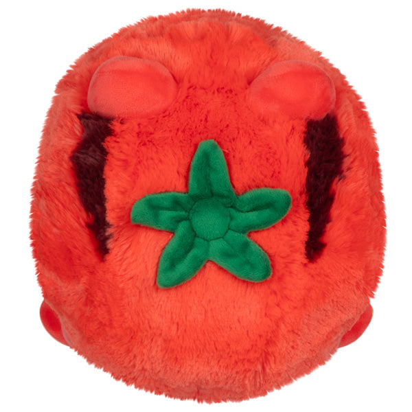 Mini Squishable Tomatoad