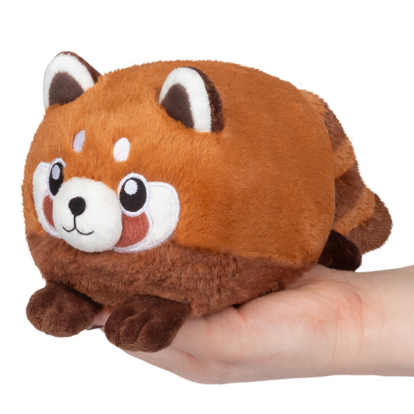 Snacker Baby Red Panda