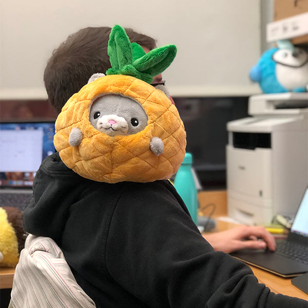 Undercover Kitty in Pineapple