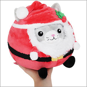 Undercover Kitty in Santa