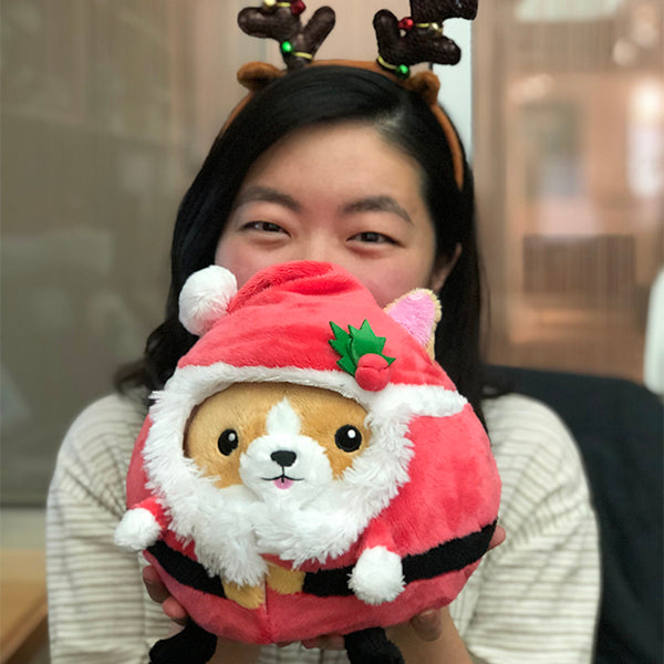 Undercover Santa Disguise
