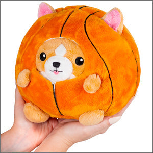 Undercover Corgi in Basketball